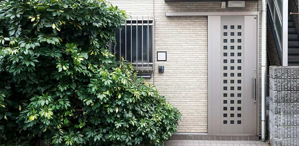 Puertas de Acceso