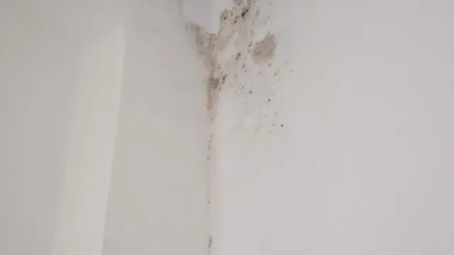 Daños por humedad y moho en el techo de una vivienda causados por rotura de tubería comunitaria en comunidad de propietarios